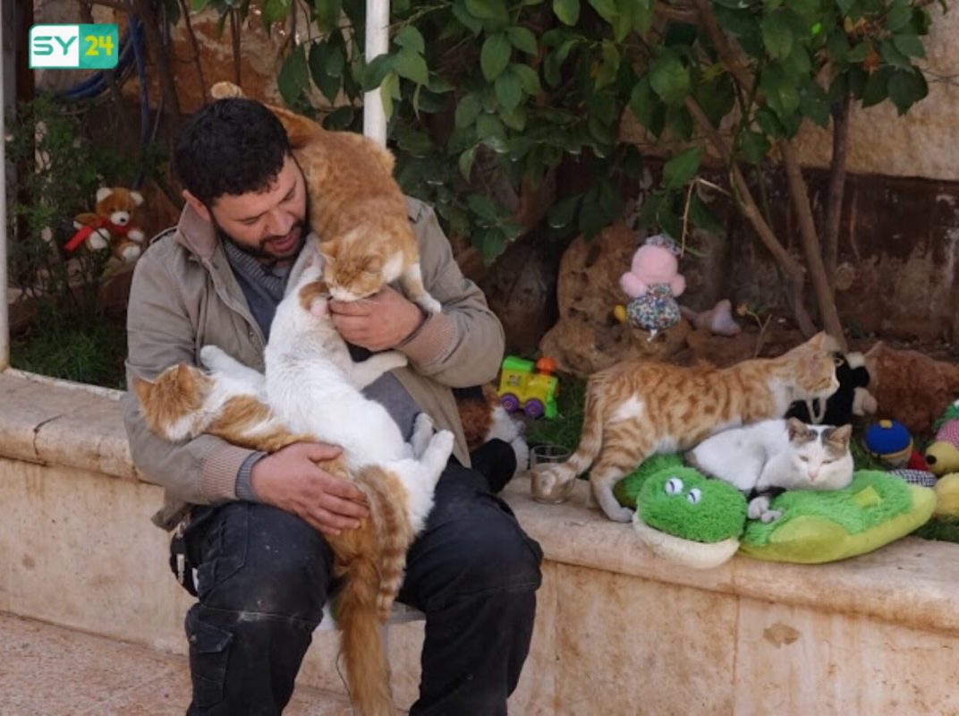 شاب سوري ينشئ محمية للقطط في حلب